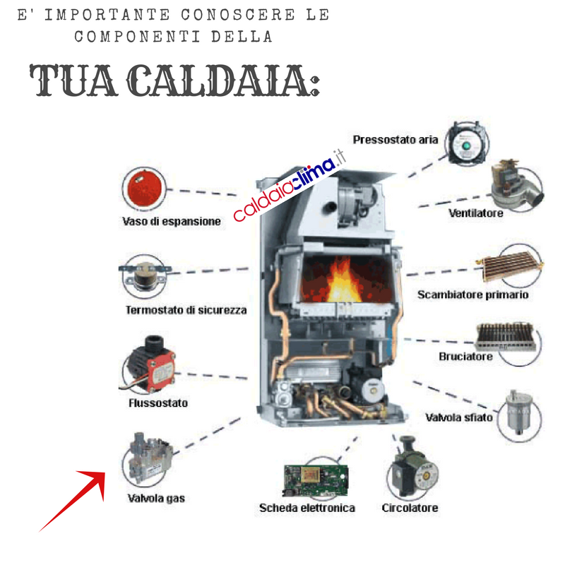 COMPONENTI CALDAIA