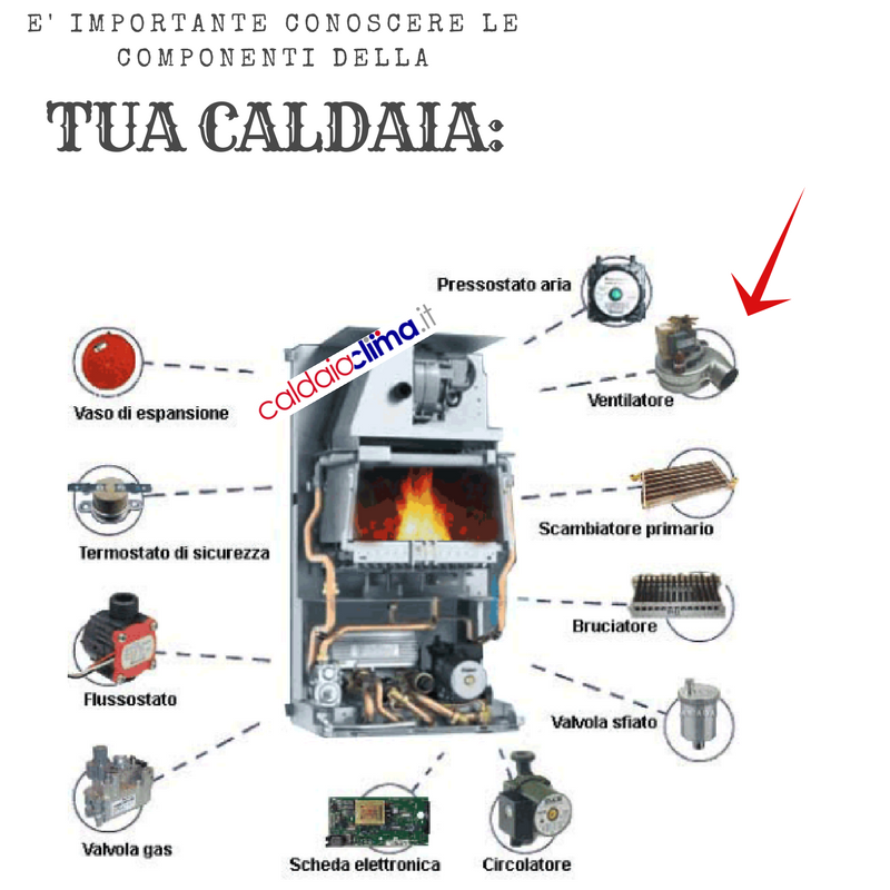 COMPONENTI CALDAIA